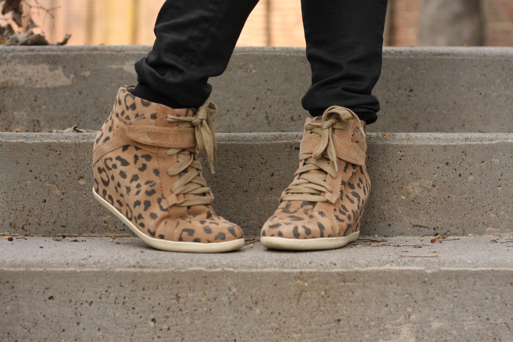 Cheetah Kicks