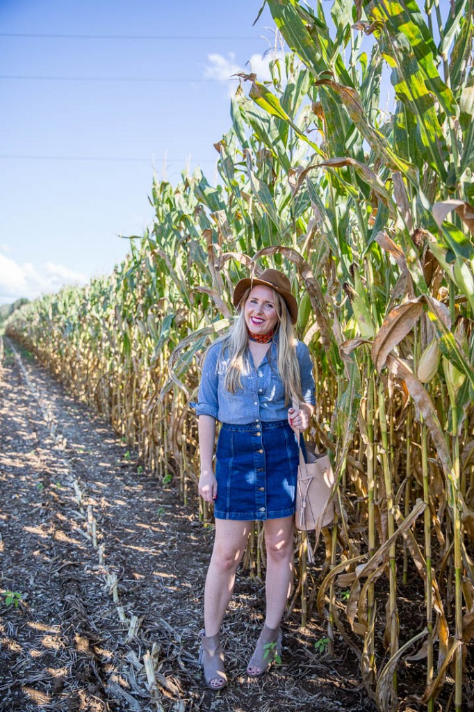 J.Crew Denim button down & Topshop shop button front skirt